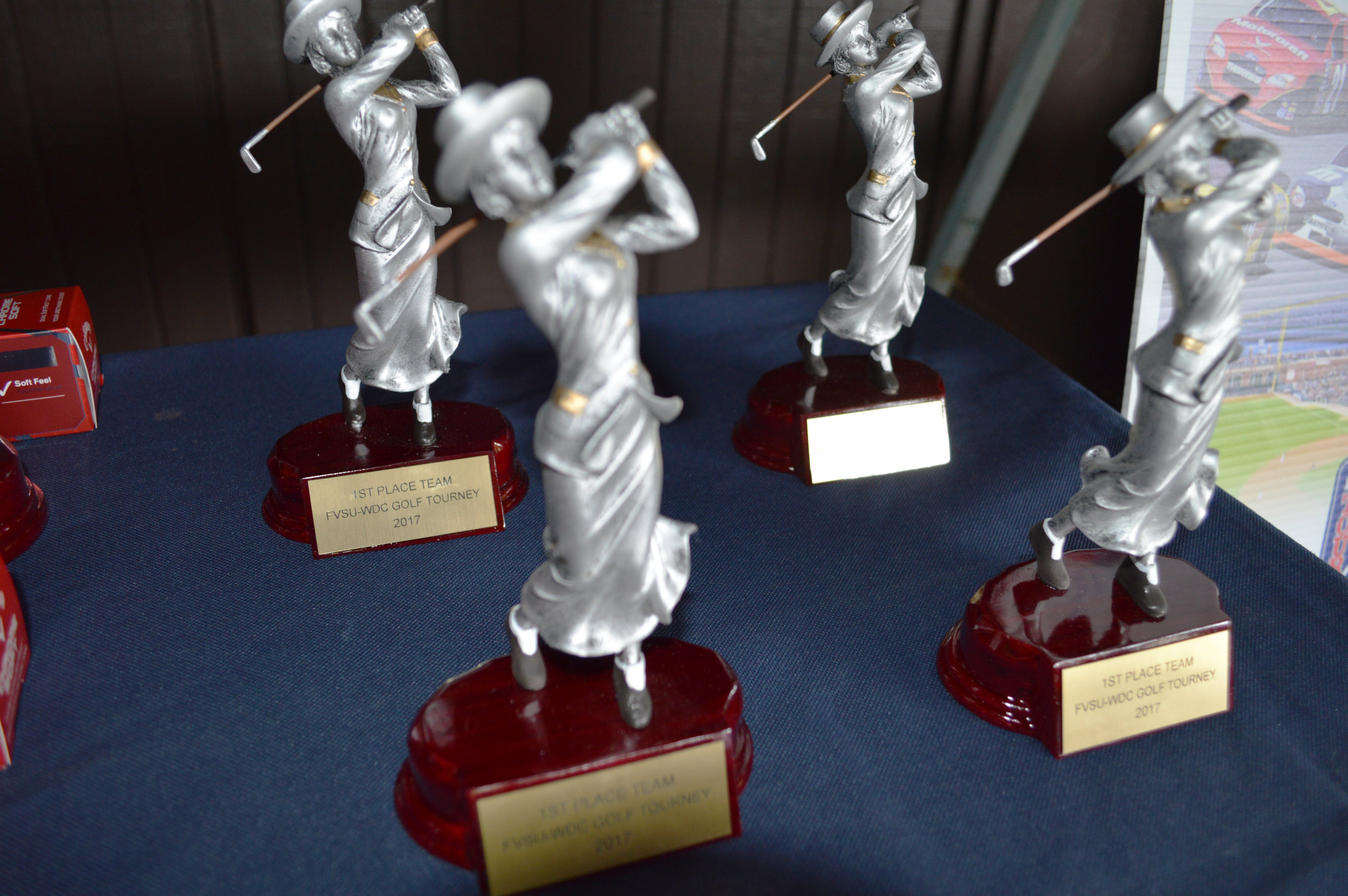 fvsudc_golf_tourney_2017_12.jpg