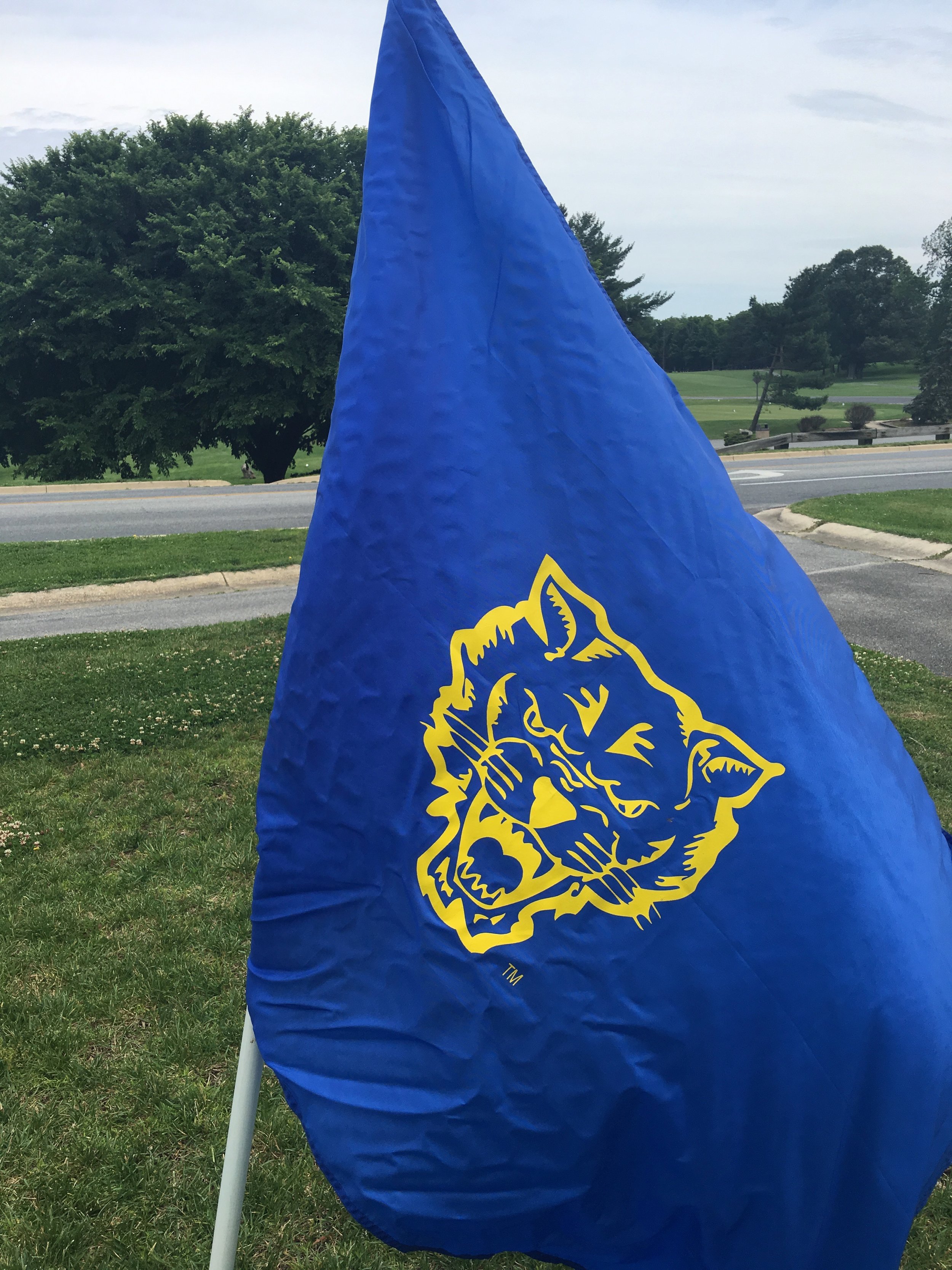 fvsudc_golf_tourney_2017_98.jpg
