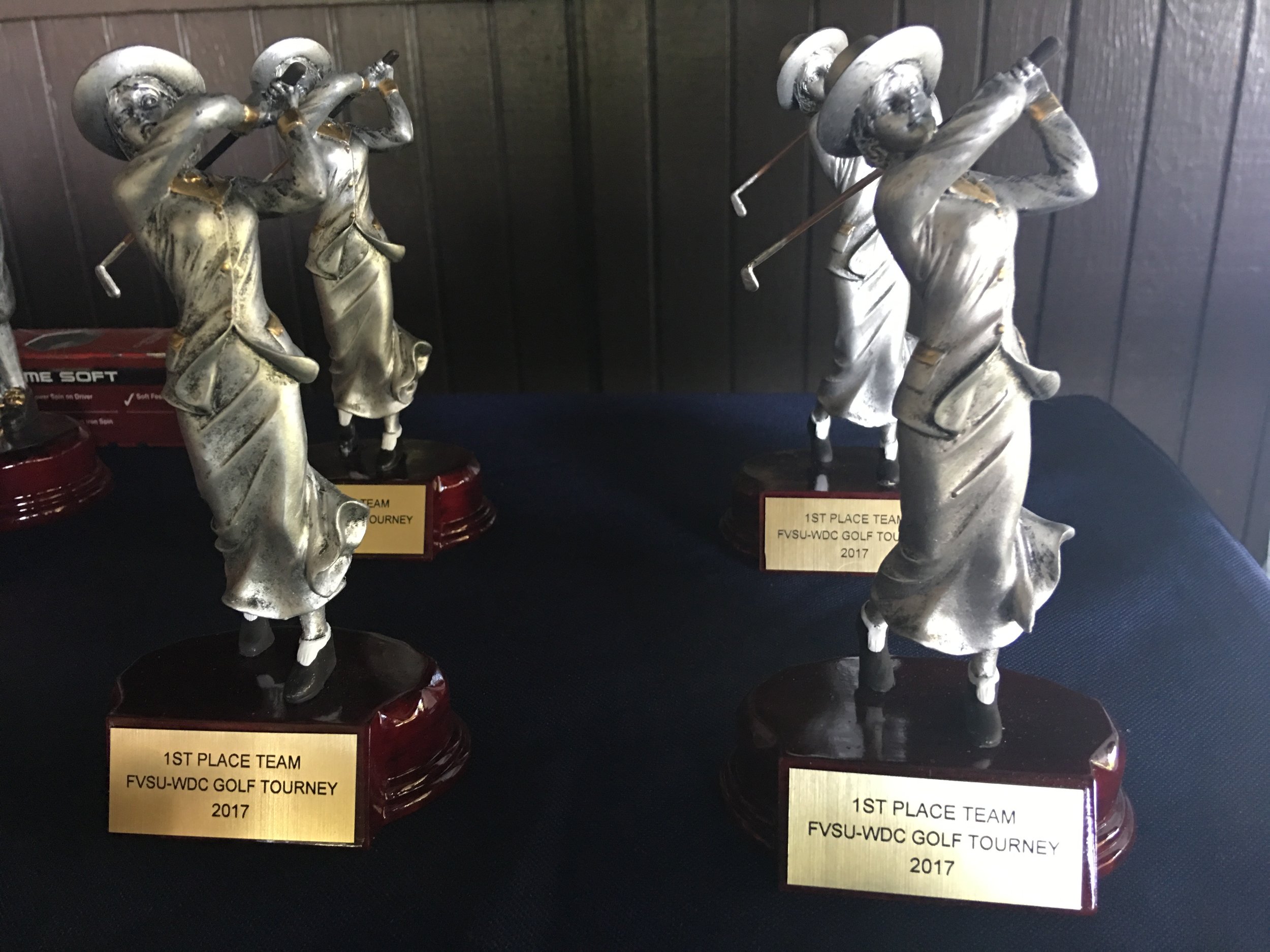 fvsudc_golf_tourney_2017_109.jpg