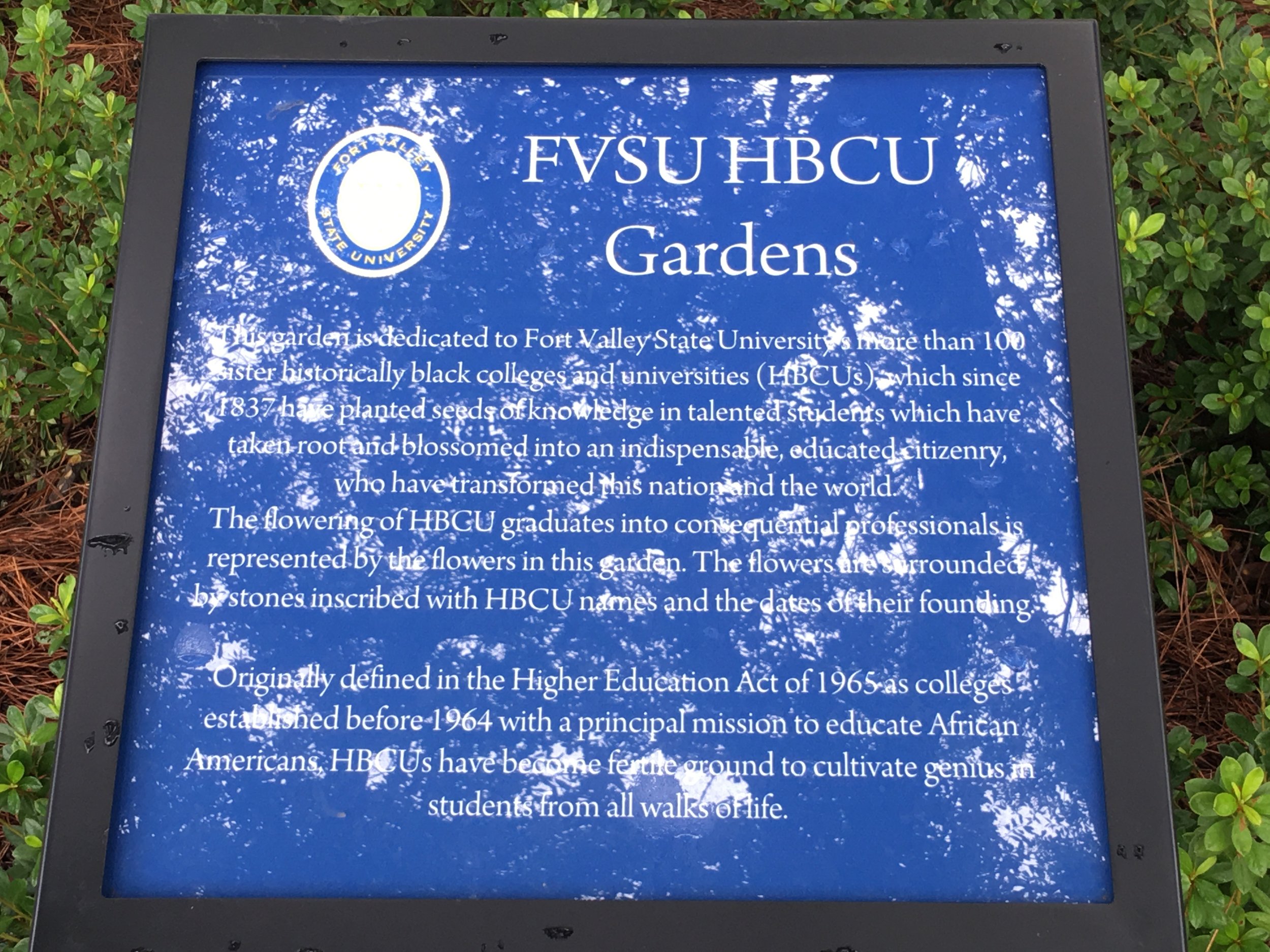 FVSUNAA Biennial Conference 343.jpg